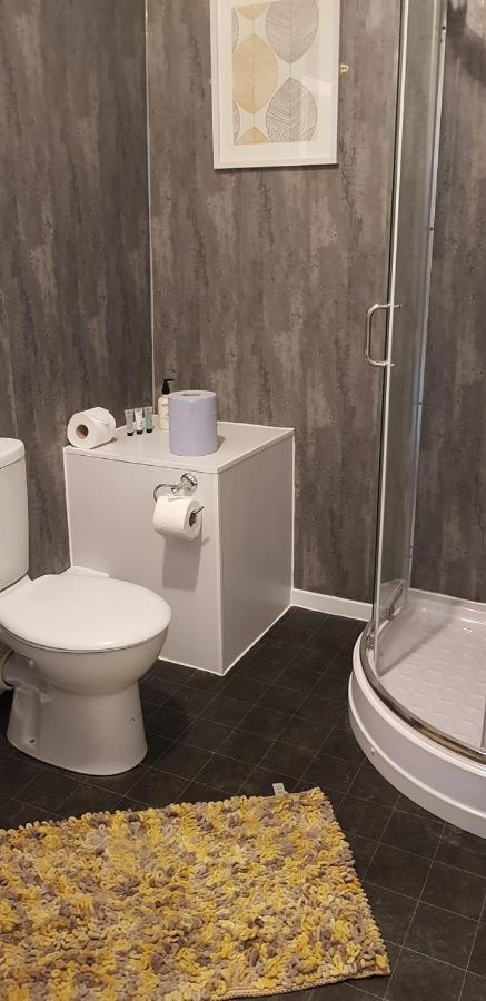 The New Wellington Hotel Brierley Hill Buitenkant foto